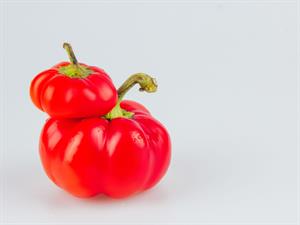 Shutterstock_2246079989.jpg