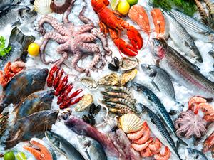 shutterstock_403995229.jpg